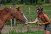 natuurtherapie, Zarica Horses, Kruishoutem, Kruisem, Oost-Vlaanderen, Manege, Paardrijles, paarden, Pony, Kampen, Paardenkampen